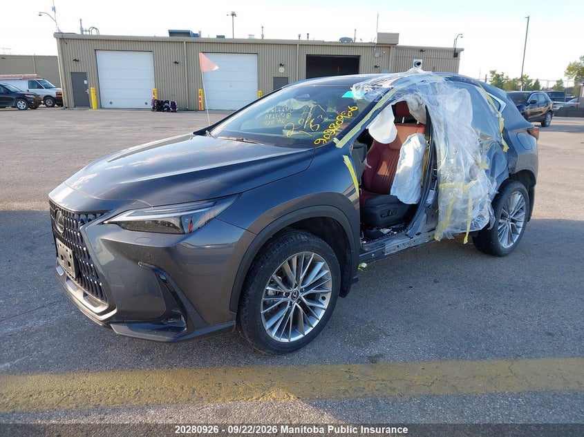 2024 Lexus NX, Лівий бік, IAAI, VIN 2T2GGCEZ2RC057284 — фото 2