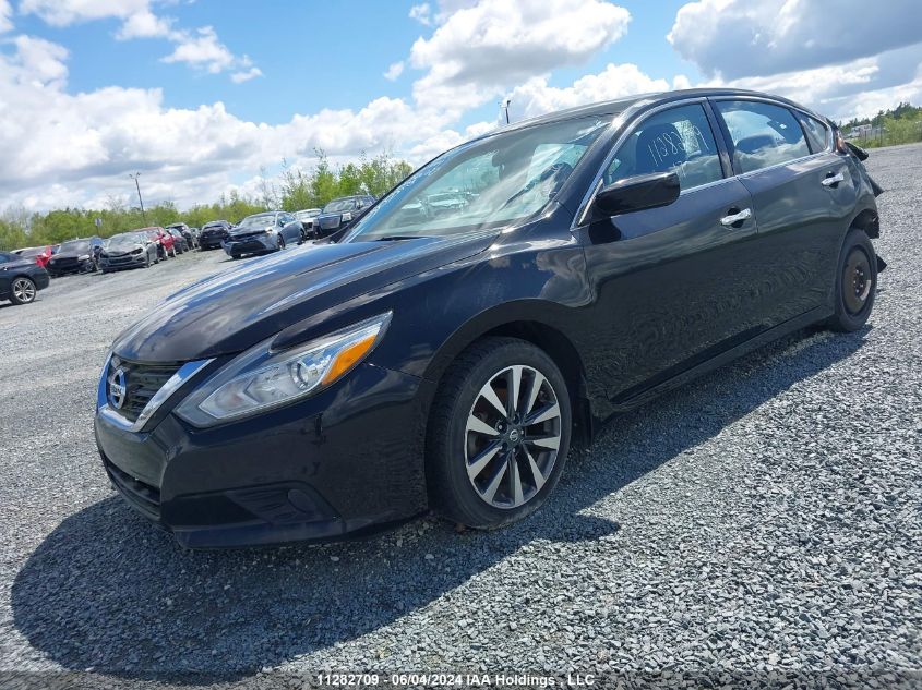 2017 Nissan Altima 2.5/S/Sv/Sl/Sr VIN: 1N4AL3AP1HN356020 Lot: 11282709