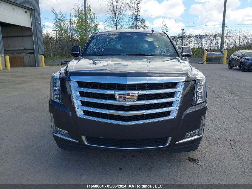 2016 Cadillac Escalade Premium VIN: 1GYS4CKJ1GR256202 Lot: 11668684