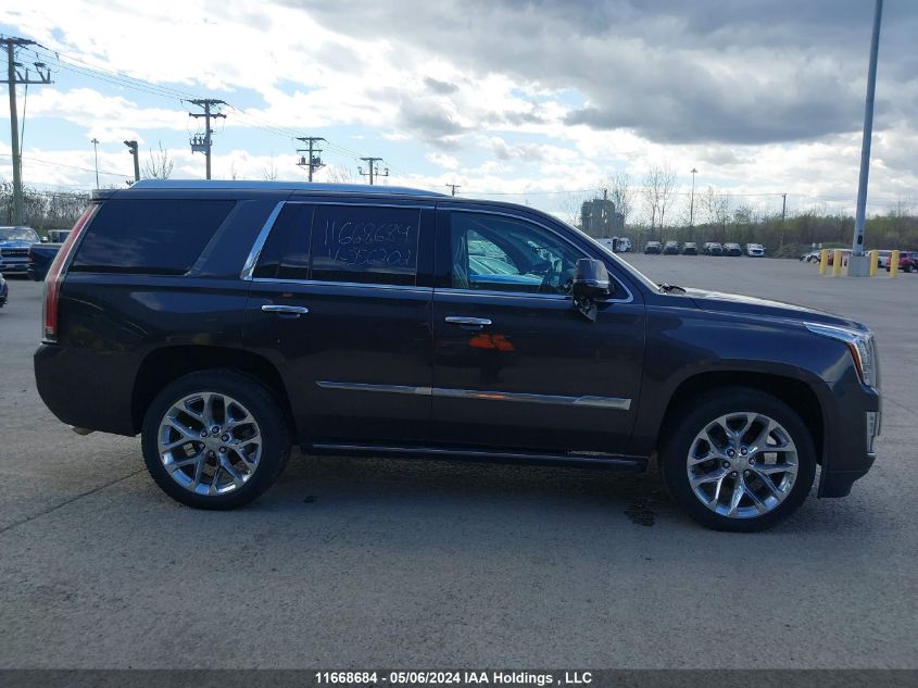 2016 Cadillac Escalade Premium VIN: 1GYS4CKJ1GR256202 Lot: 11668684