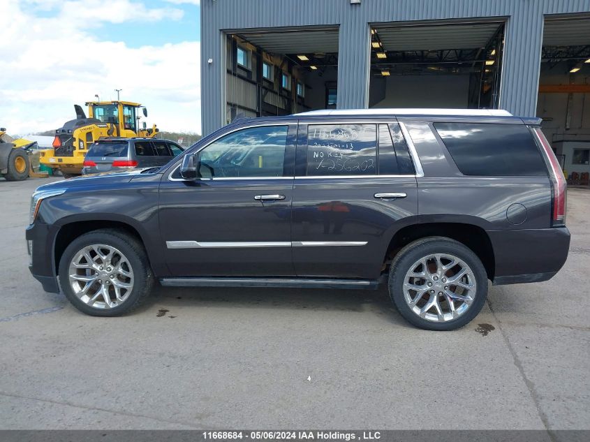 2016 Cadillac Escalade Premium VIN: 1GYS4CKJ1GR256202 Lot: 11668684