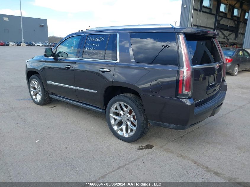 2016 Cadillac Escalade Premium VIN: 1GYS4CKJ1GR256202 Lot: 11668684