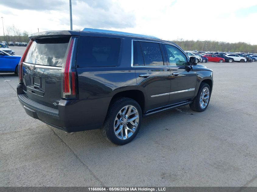 2016 Cadillac Escalade Premium VIN: 1GYS4CKJ1GR256202 Lot: 11668684