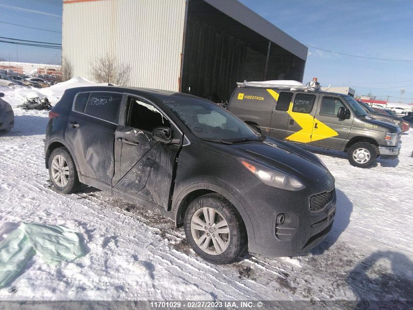 2019 Kia Sportage VIN: KNDPM3AC0K7535496 Lot: 11701029