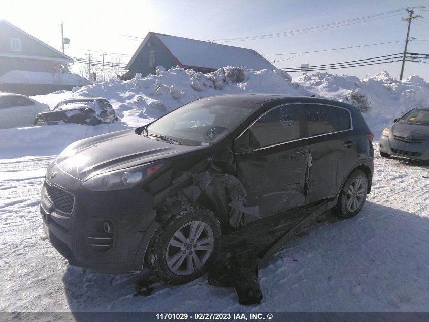 2019 Kia Sportage VIN: KNDPM3AC0K7535496 Lot: 11701029