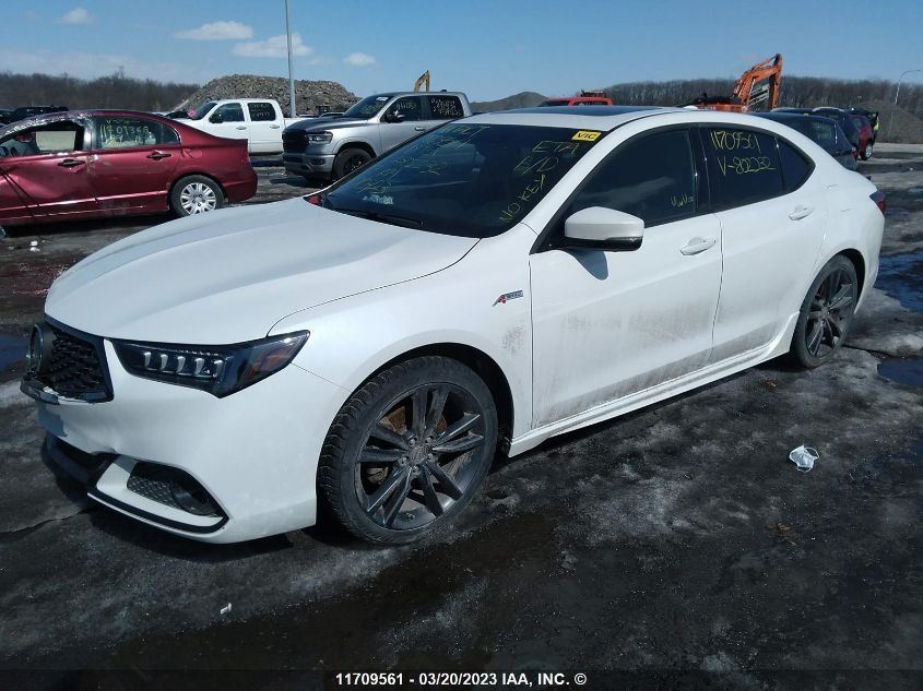 2018 Acura Tlx VIN: 19UUB3F89JA802232 Lot: 11709561