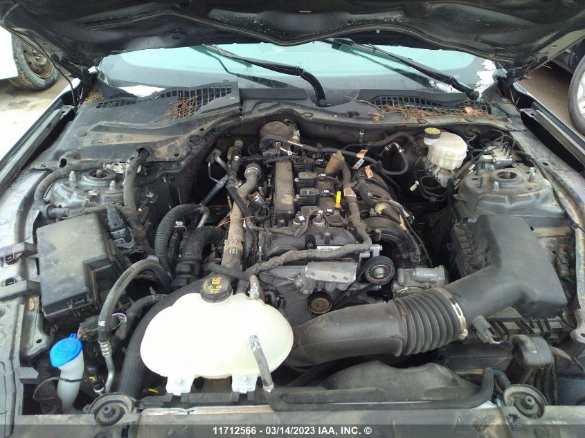 2021 Ford Mustang VIN: 1FA6P8TH3M5140709 Lot: 11712566