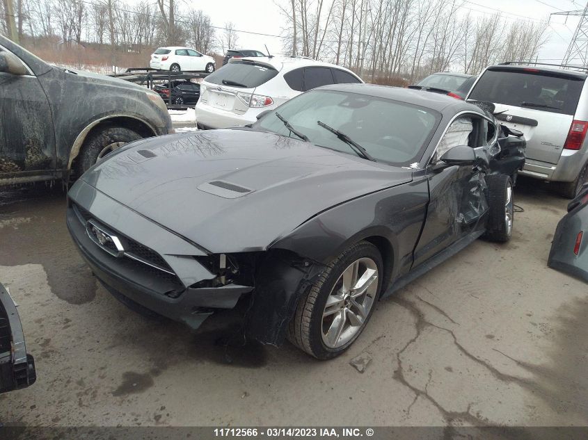 2021 Ford Mustang VIN: 1FA6P8TH3M5140709 Lot: 11712566