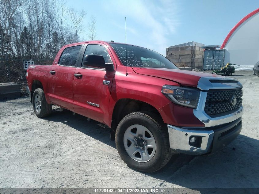 2019 Toyota Tundra Crewmax Sr5/Crewmax Trd Pro VIN: 5TFDY5F14KX852885 Lot: 11728148