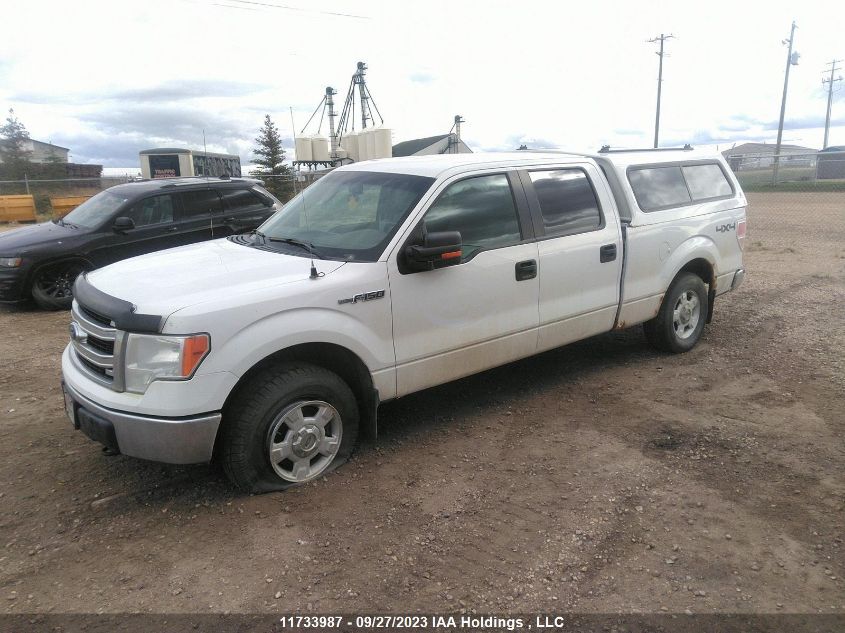 2013 Ford F150 Supercrew VIN: 1FTFW1EF4DFC00538 Lot: 11733987