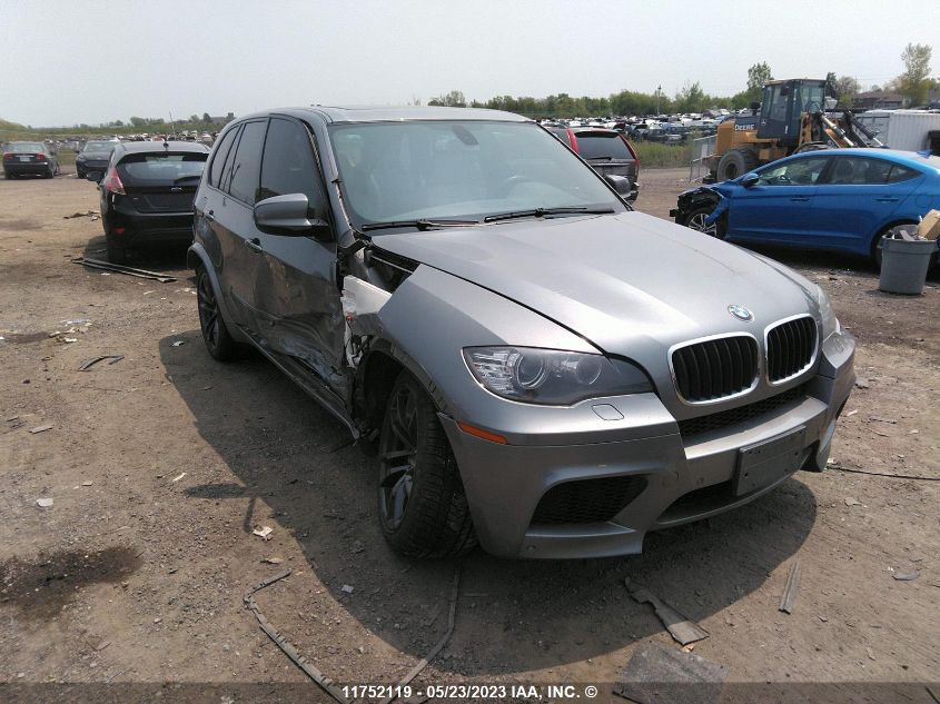 2010 BMW X5 M VIN: 5YMGY0C56ALK25481 Lot: 11752119