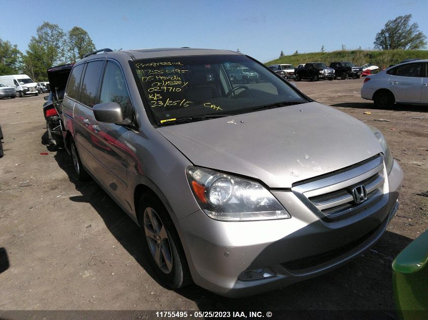 2005 Honda Odyssey Touring VIN: 5FNRL38855B029710 Lot: 11755495