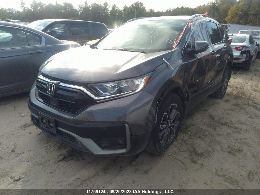 2022 Honda Cr-V Exl VIN: 2HKRW2H89NH205886 Lot: 11759124