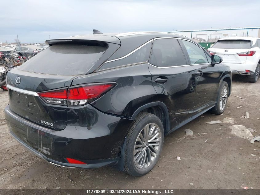 2020 Lexus Rx 350 VIN: 2T2JZMDA6LC216090 Lot: 11770809