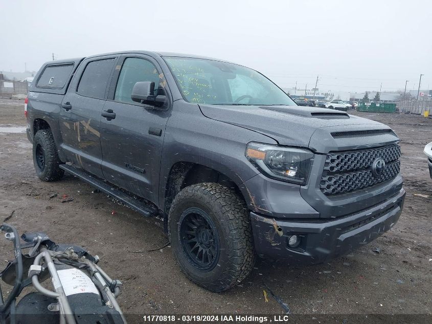 2021 Toyota Tundra Crewmax Sr5/Crewmax Trd P VIN: 5TFDY5F16MX970665 Lot: 11770818