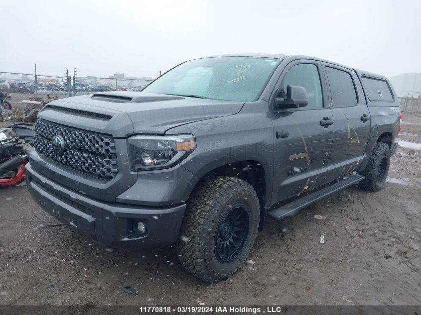 2021 Toyota Tundra Crewmax Sr5/Crewmax Trd P VIN: 5TFDY5F16MX970665 Lot: 11770818