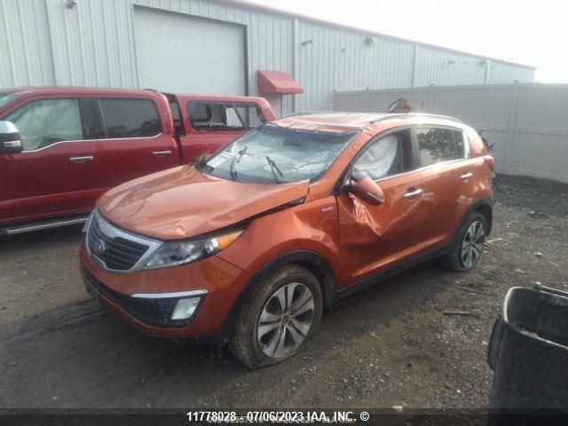 2013 Kia Sportage Ex VIN: KNDPCCA27D7491980 Lot: 11778028