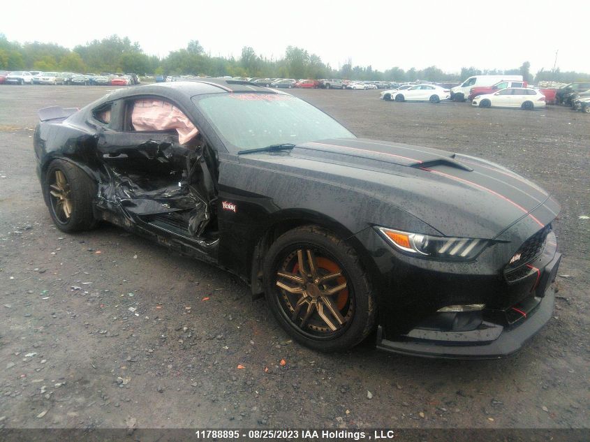 2016 Ford Mustang VIN: 1FA6P8AM5G5244204 Lot: 11788895