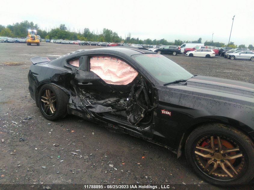 2016 Ford Mustang VIN: 1FA6P8AM5G5244204 Lot: 11788895