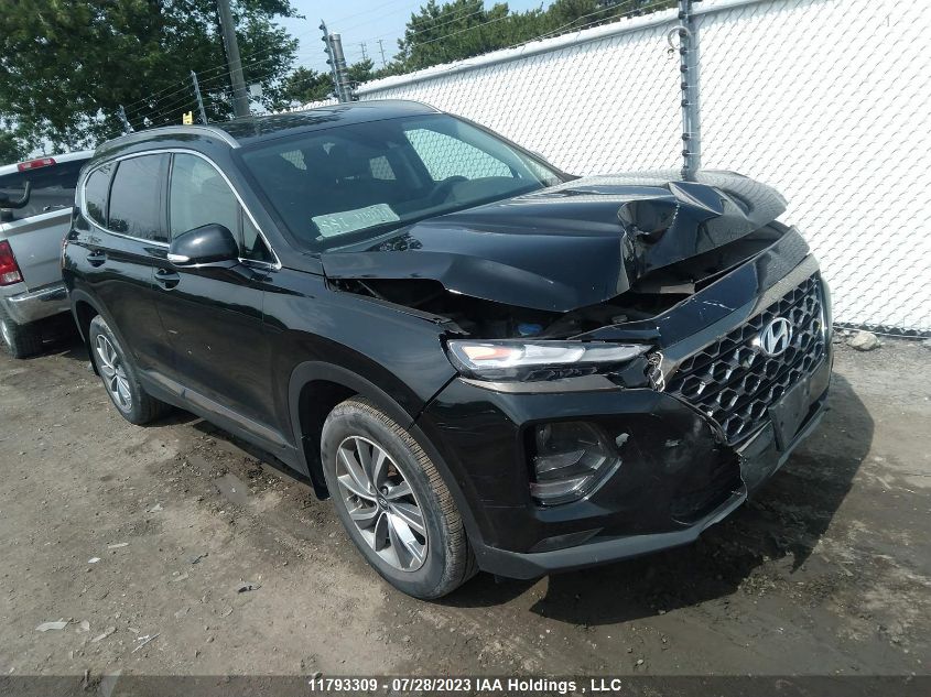 2019 Hyundai Santa Fe VIN: 5NMS3CAD2KH101384 Lot: 11793309