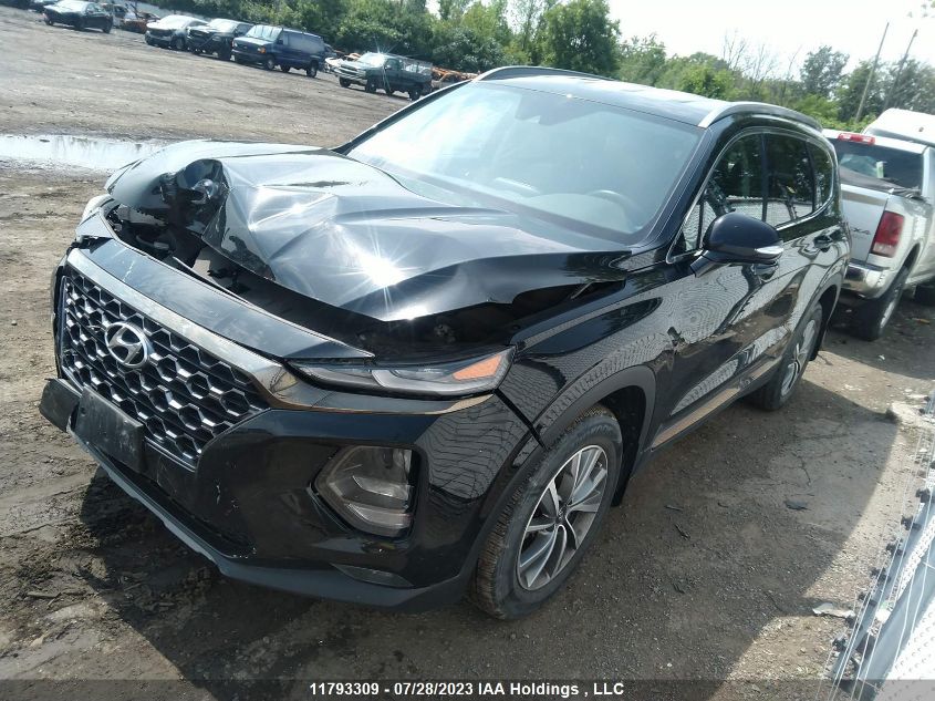 2019 Hyundai Santa Fe VIN: 5NMS3CAD2KH101384 Lot: 11793309