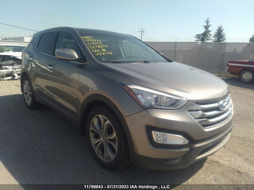 2013 Hyundai Santa Fe Sport VIN: 5XYZUDLA2DG098598 Lot: 11799843