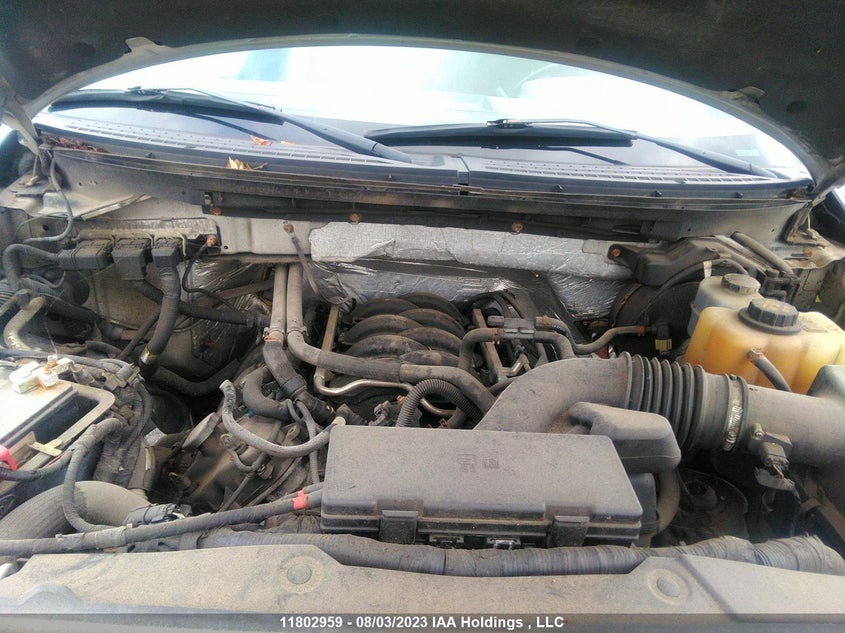 2011 Ford F-150 Xl/Stx/Xlt/Fx4/Lariat VIN: 1FTFX1EF4BFA14282 Lot: 11802959