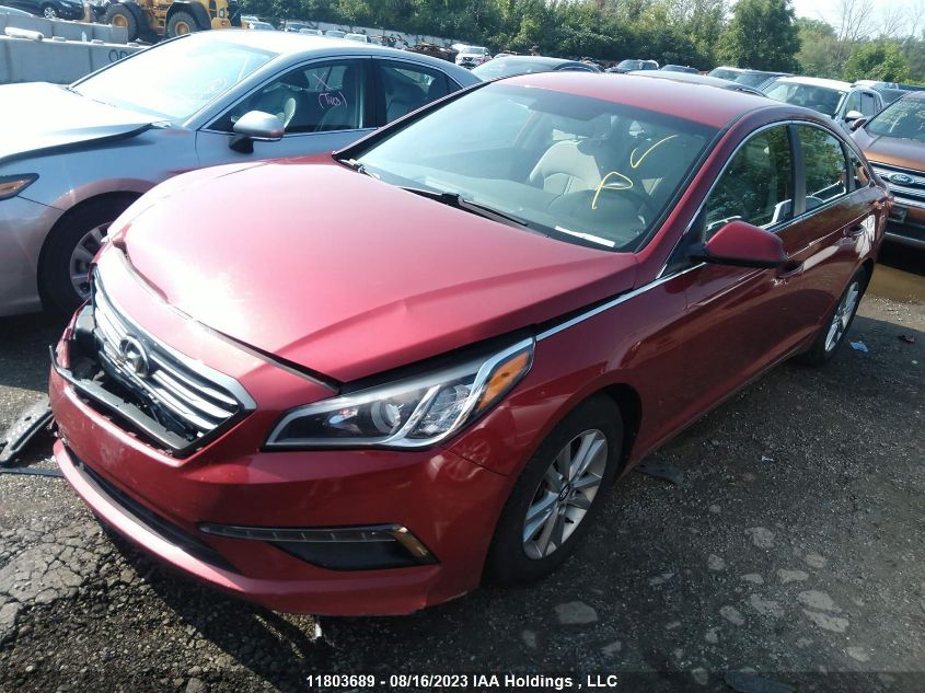 2015 Hyundai Sonata VIN: 5NPE24AF7FH013138 Lot: 11803689