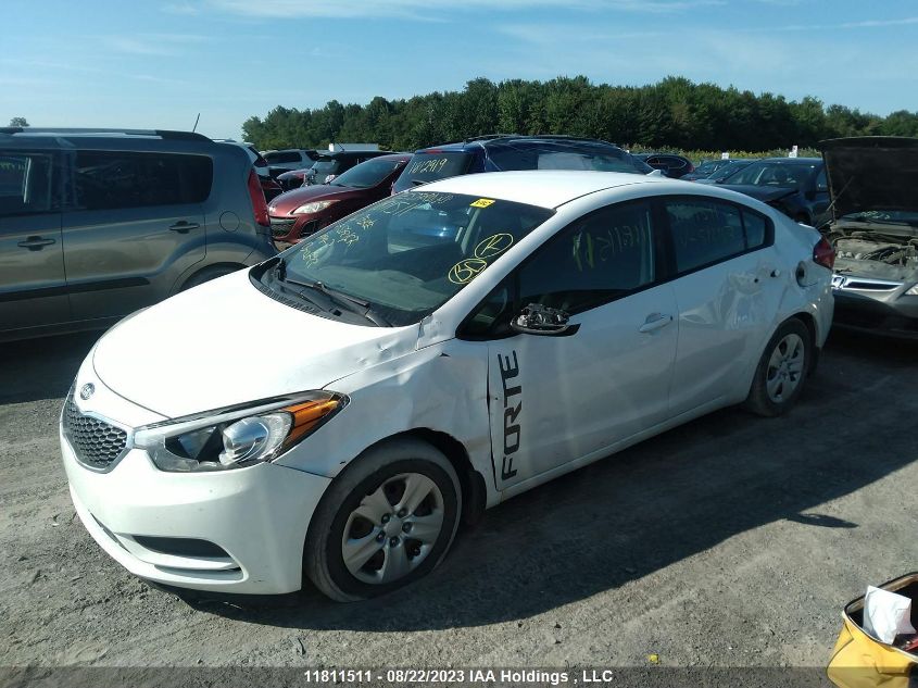 2016 Kia Forte Lx/Lx+ VIN: KNAFK4A63G5542167 Lot: 11811511