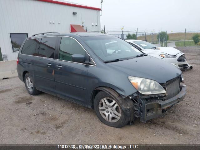 2006 Honda Odyssey Ex-L VIN: 5FNRL38606B460391 Lot: 11812338