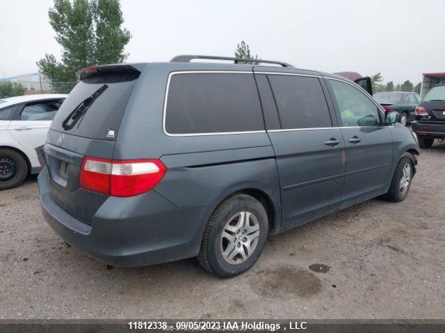 2006 Honda Odyssey Ex-L VIN: 5FNRL38606B460391 Lot: 11812338