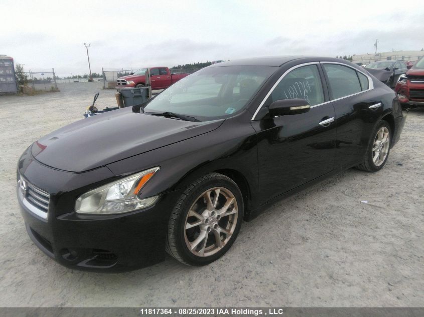 2013 Nissan Maxima 3.5 Sv VIN: 1N4AA5APXDC833633 Lot: 11817364