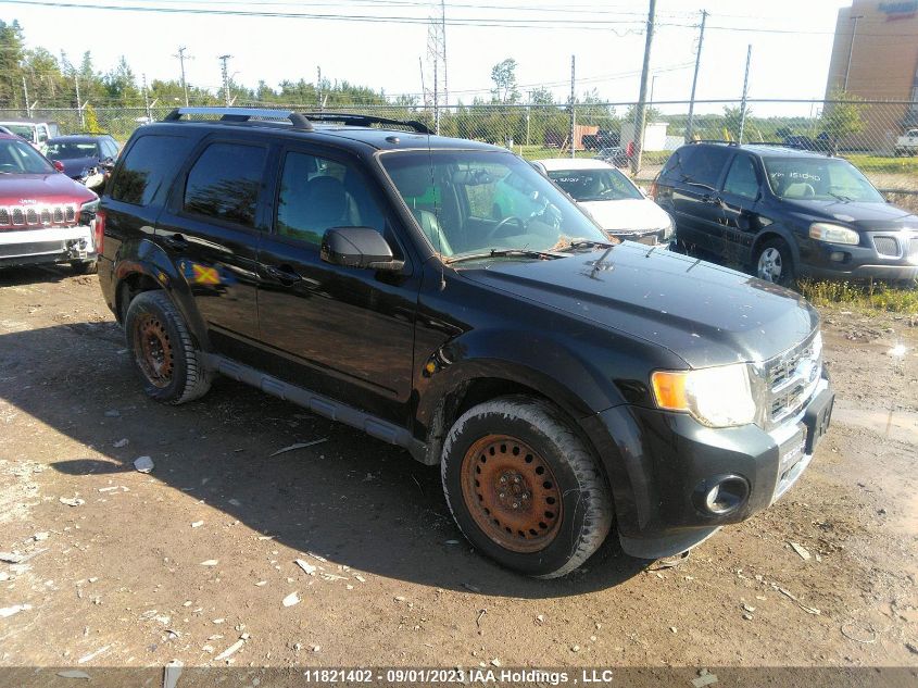 2011 Ford Escape VIN: 1FMCU9EG7BKC44307 Lot: 11821402