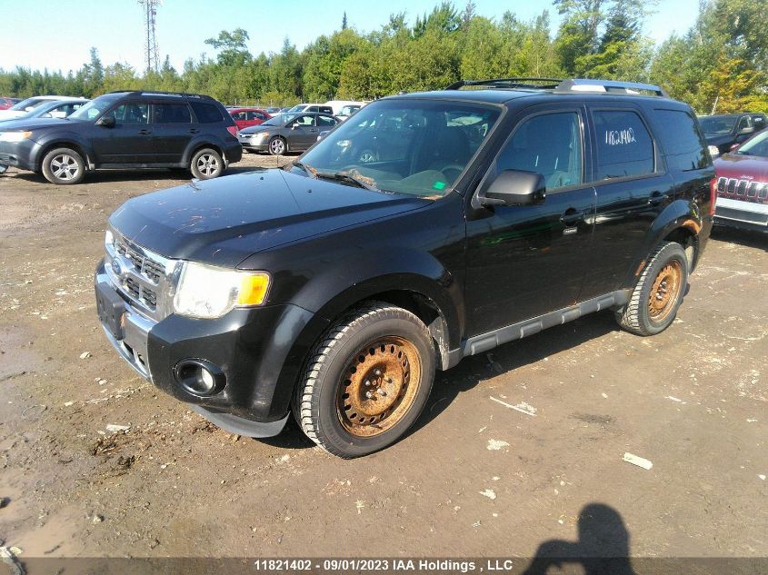 2011 Ford Escape VIN: 1FMCU9EG7BKC44307 Lot: 11821402