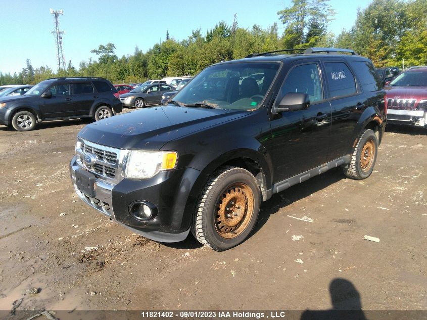 2011 Ford Escape VIN: 1FMCU9EG7BKC44307 Lot: 11821402