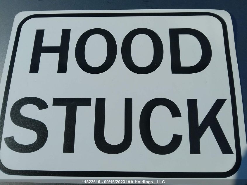 2021 Chevrolet Silverado 1500 VIN: 3GCUYAEF7MG202980 Lot: 11822516