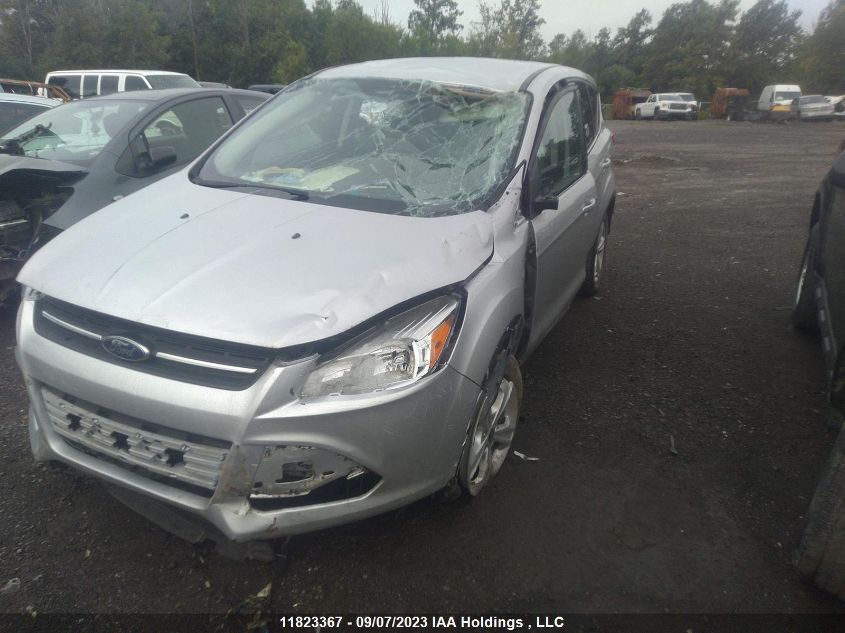 2014 Ford Escape Se VIN: 1FMCU0G97EUE16581 Lot: 11823367