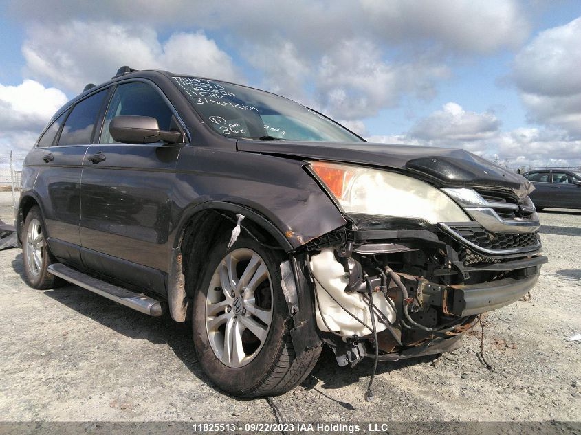 2011 Honda Cr-V Ex-L VIN: 5J6RE4H73BL822580 Lot: 11825513