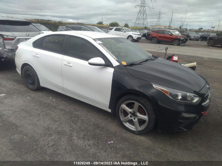 2019 Kia Forte Lx VIN: 3KPF24AD2KE124424 Lot: 11828249