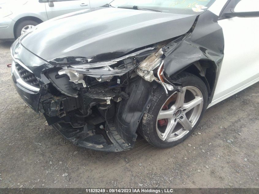 2019 Kia Forte Lx VIN: 3KPF24AD2KE124424 Lot: 11828249