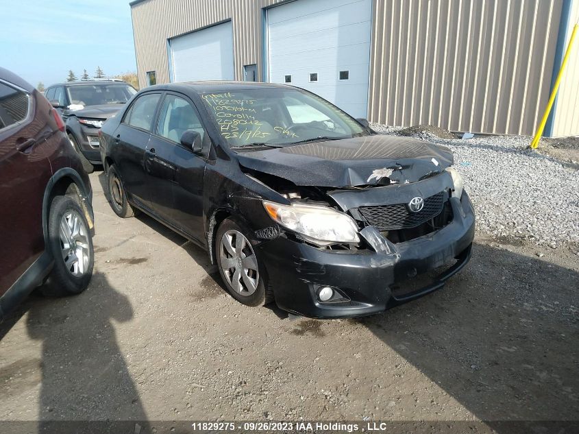 2010 Toyota Corolla VIN: 2T1BU4EE2AC208042 Lot: 11829275