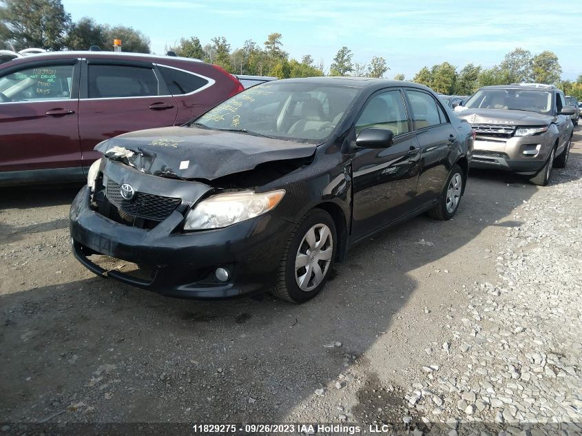 2010 Toyota Corolla VIN: 2T1BU4EE2AC208042 Lot: 11829275