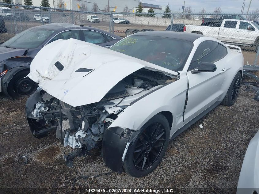 2019 Ford Mustang Ecoboost VIN: 1FA6P8TH4K5162585 Lot: 11829475