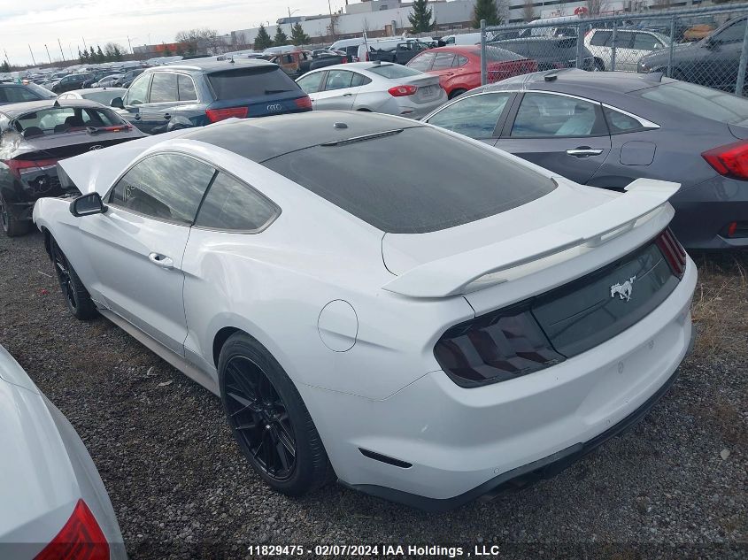 2019 Ford Mustang Ecoboost VIN: 1FA6P8TH4K5162585 Lot: 11829475