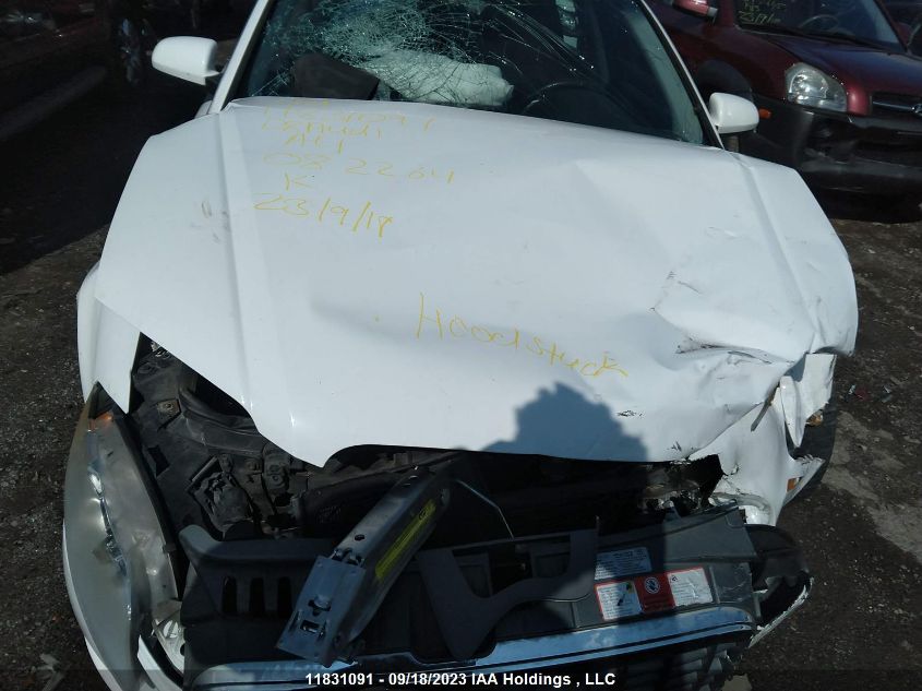 2008 Audi A4 2.0T VIN: WAUEF68EX8A082264 Lot: 11831091