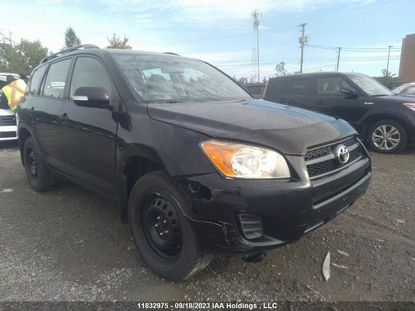 2009 Toyota Rav4 Base VIN: JTMBF33V195000797 Lot: 11832975