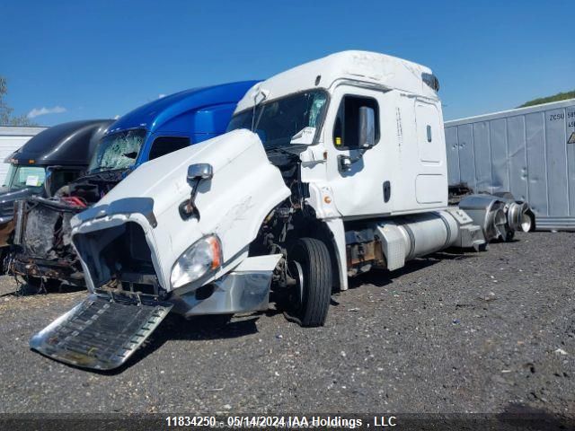 2015 Freightliner Cascadia 125 VIN: 1FUJGLD68FLGL4899 Lot: 11834250