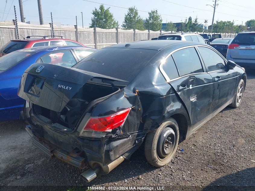 2011 Honda Accord Sedan Ex-L VIN: 1HGCP2F87BA801668 Lot: 11834562