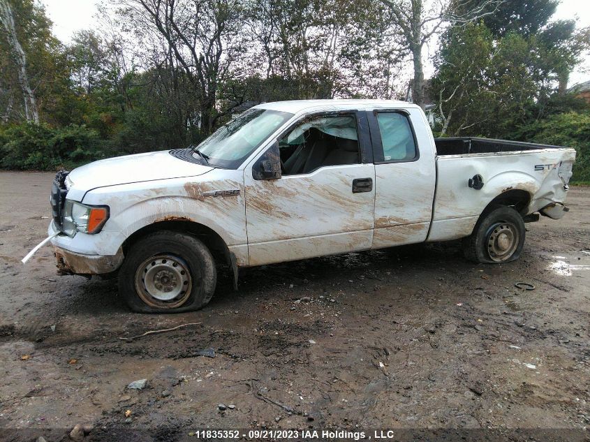 2012 Ford F-150 Xl/Stx/Xlt VIN: 1FTEX1EMXCKD62736 Lot: 11835352