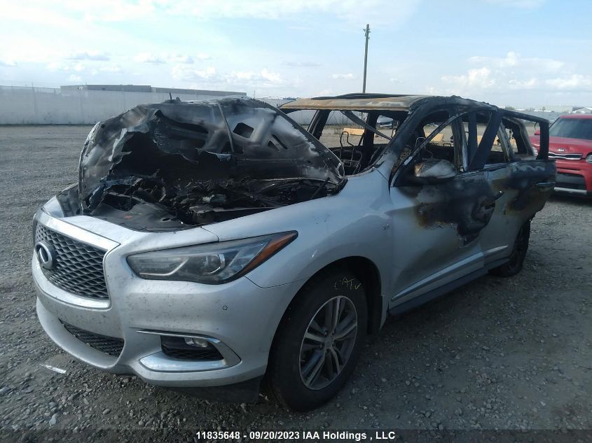 2019 Infiniti Qx60 Pure VIN: 5N1DL0MM4KC512461 Lot: 11835648